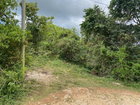 First image of Mount Zion Rock Hall in Red Hills, St. Andrew, Jamaica - property is For Sale