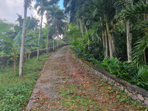 Seventh image of 7 Christopher Avenue in Kingston 9, St. Andrew, Jamaica - property is For Sale