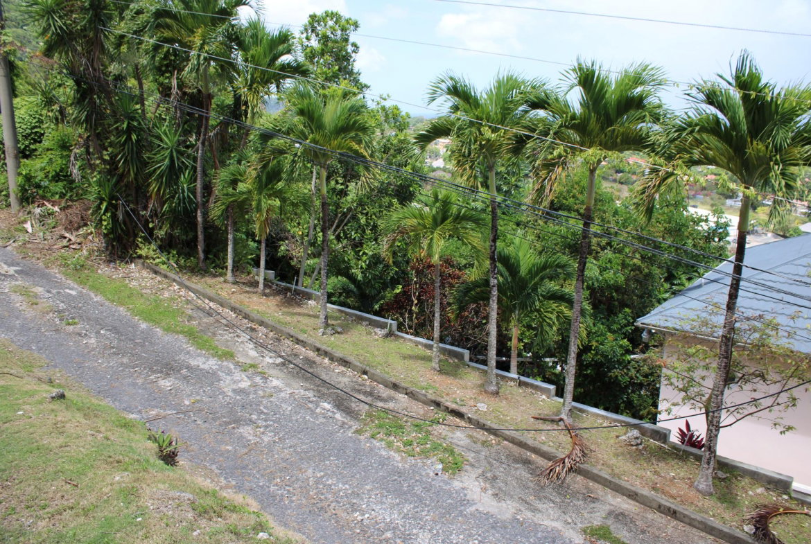 Thirteenth image of 9 Harmony Heights in Boston, Portland, Jamaica - property is For Sale