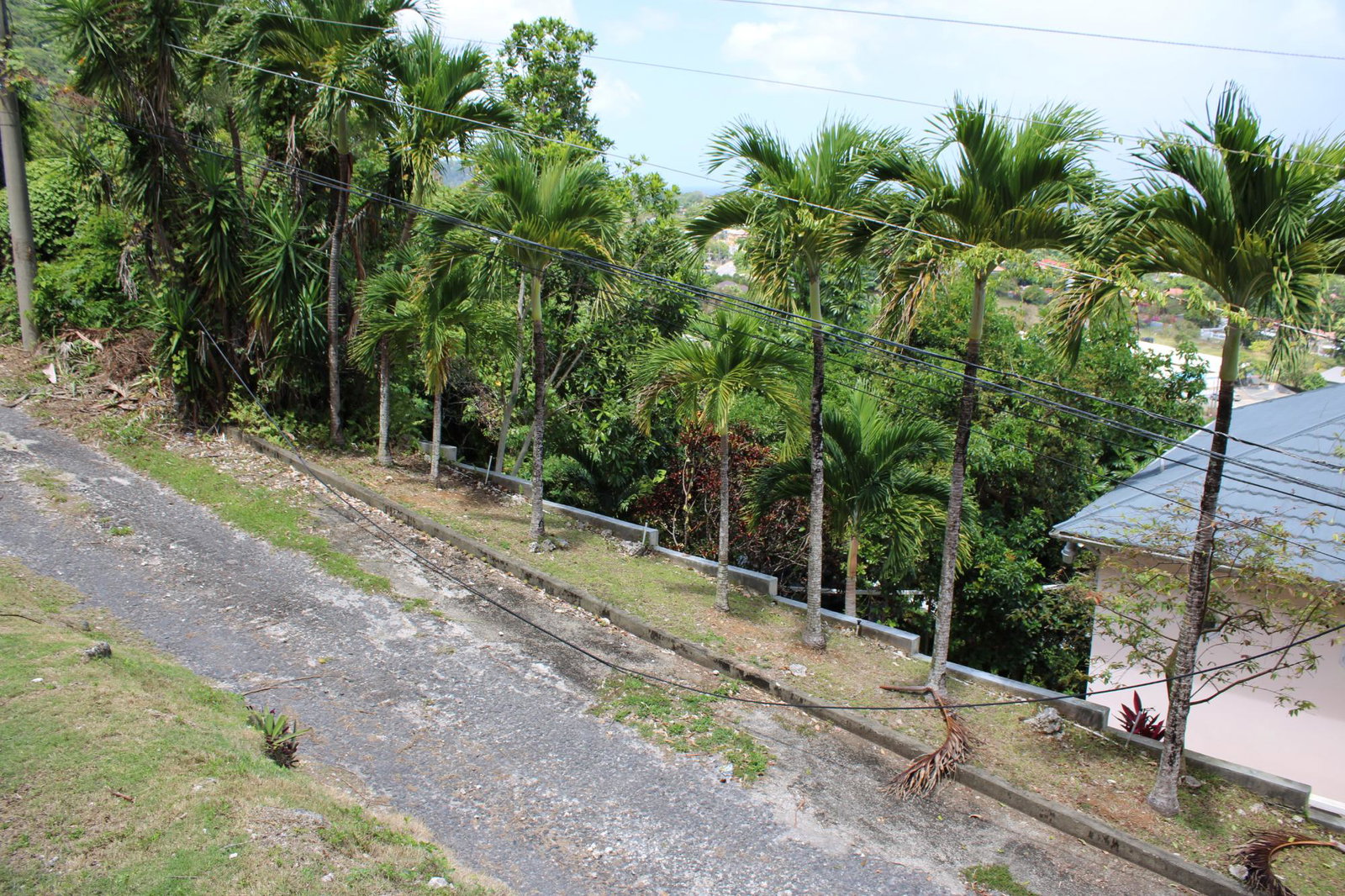 Thirteenth image of 9 Harmony Heights in Boston, Portland, Jamaica - property is For Sale