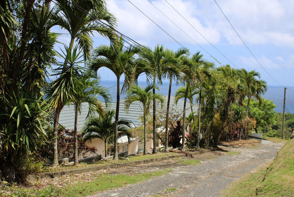 Fourteenth image of 9 Harmony Heights in Boston, Portland, Jamaica - property is For Sale