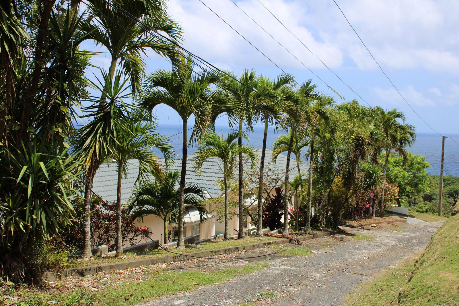 Fourteenth image of 9 Harmony Heights in Boston, Portland, Jamaica - property is For Sale