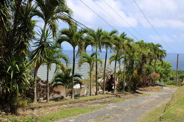 Fourteenth image of 9 Harmony Heights in Boston, Portland, Jamaica - property is For Sale