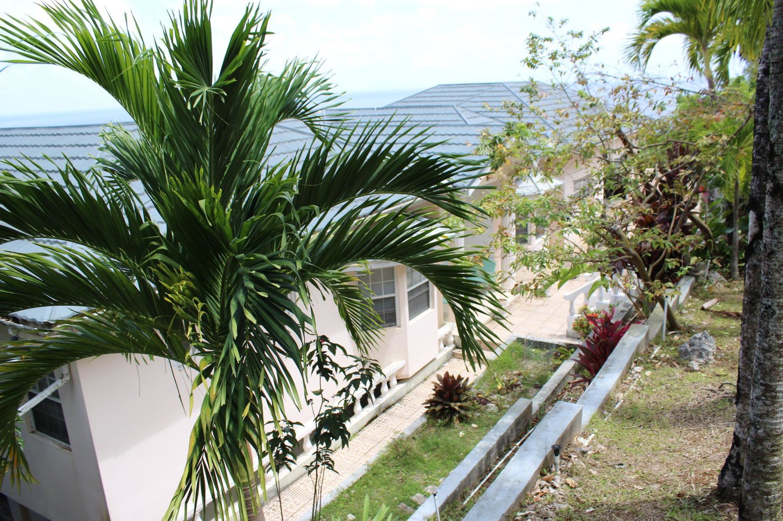 Fifteenth image of 9 Harmony Heights in Boston, Portland, Jamaica - property is For Sale