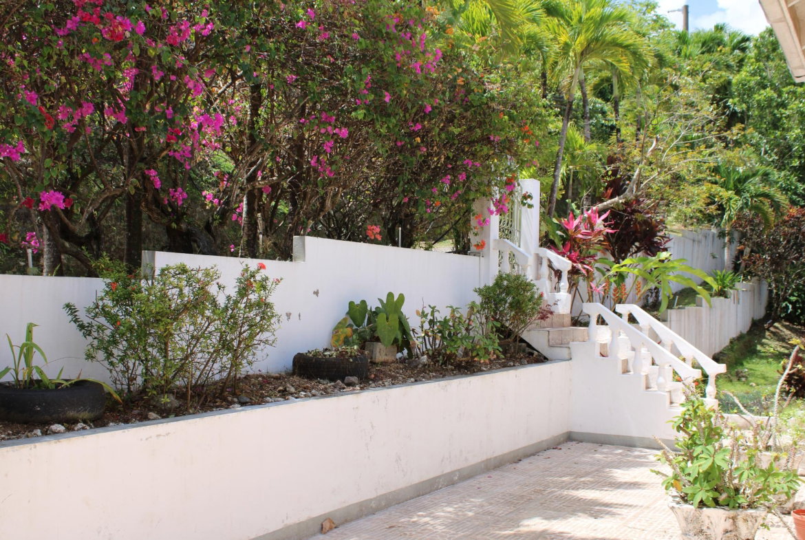 Twentieth image of 9 Harmony Heights in Boston, Portland, Jamaica - property is For Sale