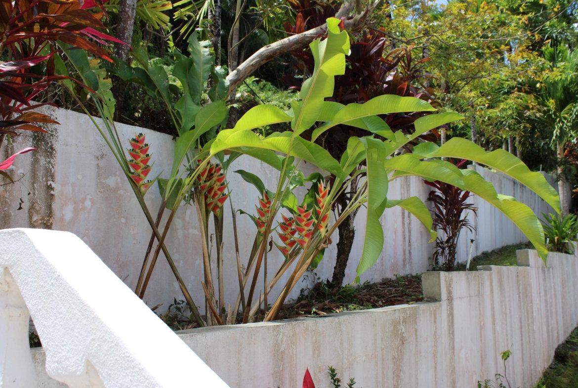 Twenty-First image of 9 Harmony Heights in Boston, Portland, Jamaica - property is For Sale