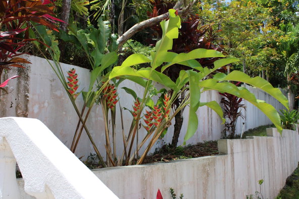 Twenty-First image of 9 Harmony Heights in Boston, Portland, Jamaica - property is For Sale