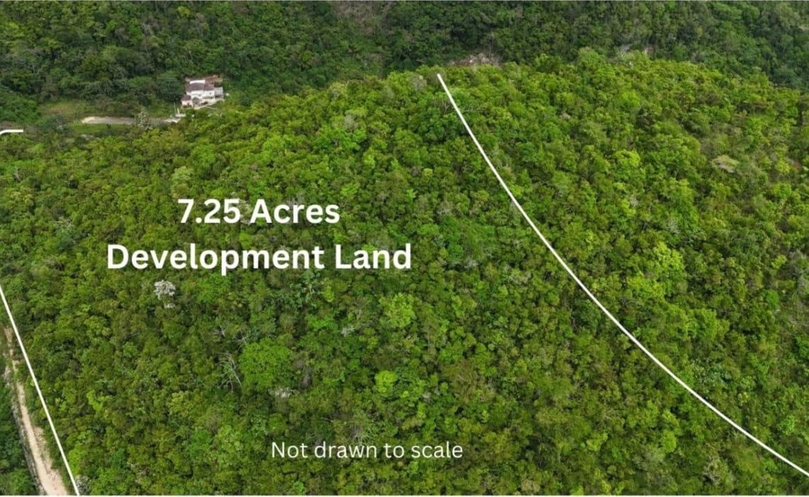 Second image of Maverley Mountain, Red h in Red Hills, St. Andrew, Jamaica - property is For Sale