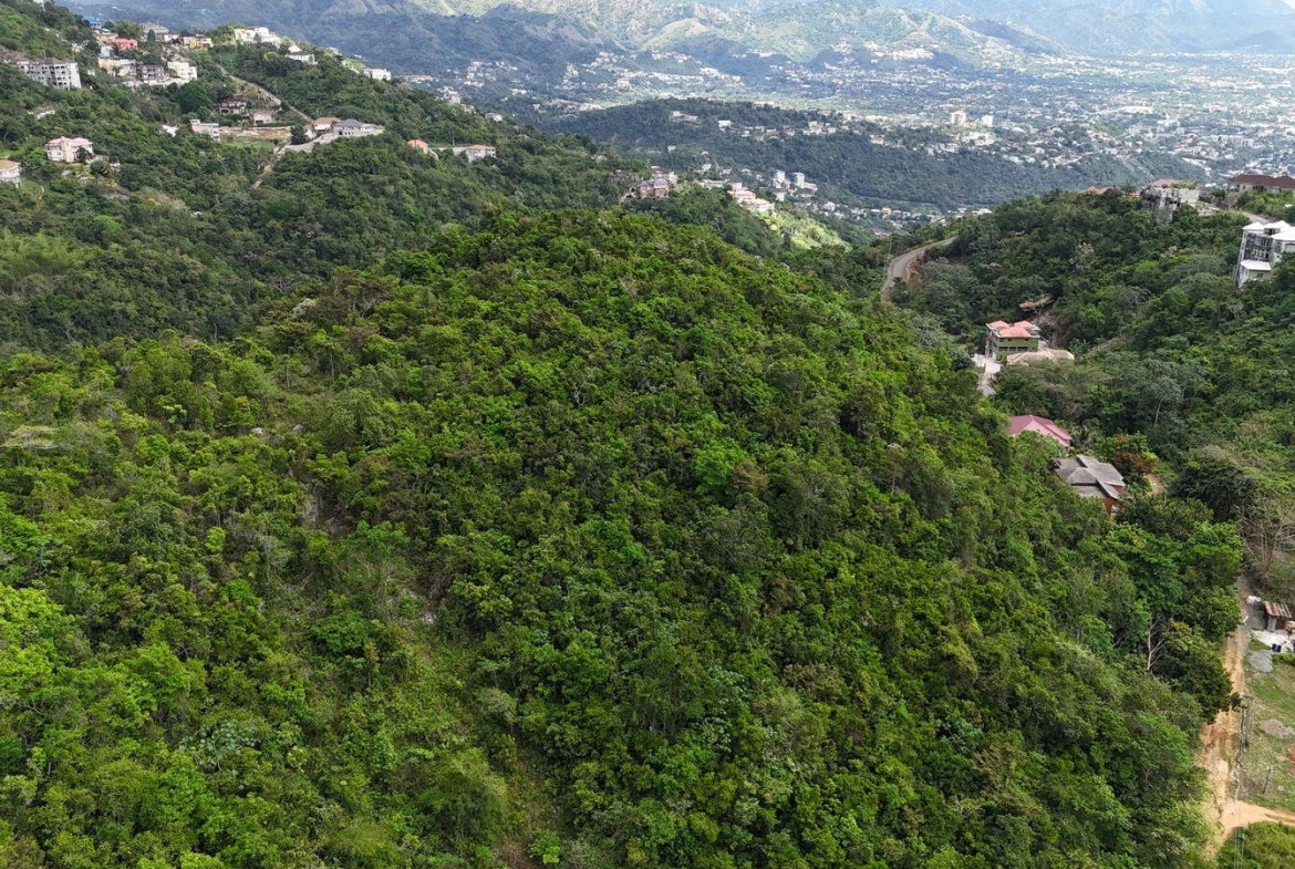 First image of Maverley Mountain, Red h in Red Hills, St. Andrew, Jamaica - property is For Sale