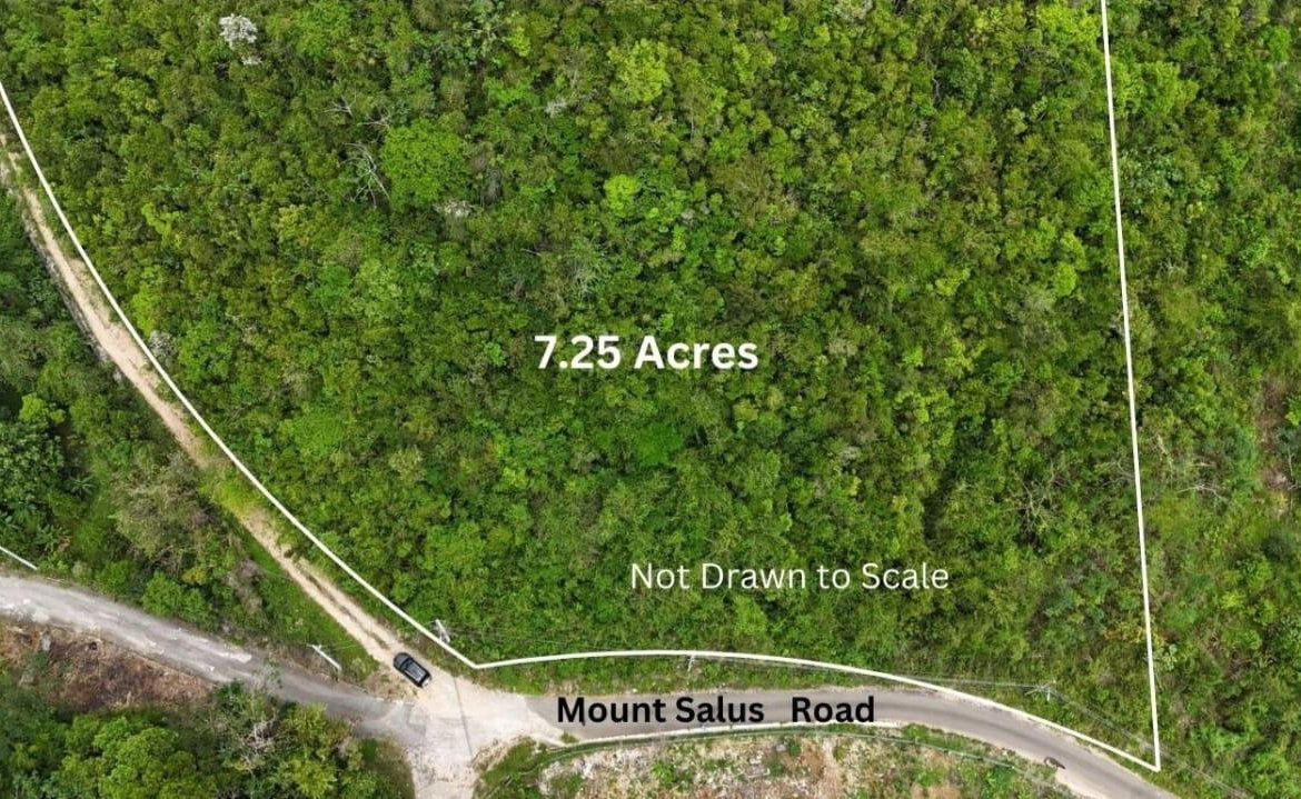 Third image of Maverley Mountain, Red h in Red Hills, St. Andrew, Jamaica - property is For Sale
