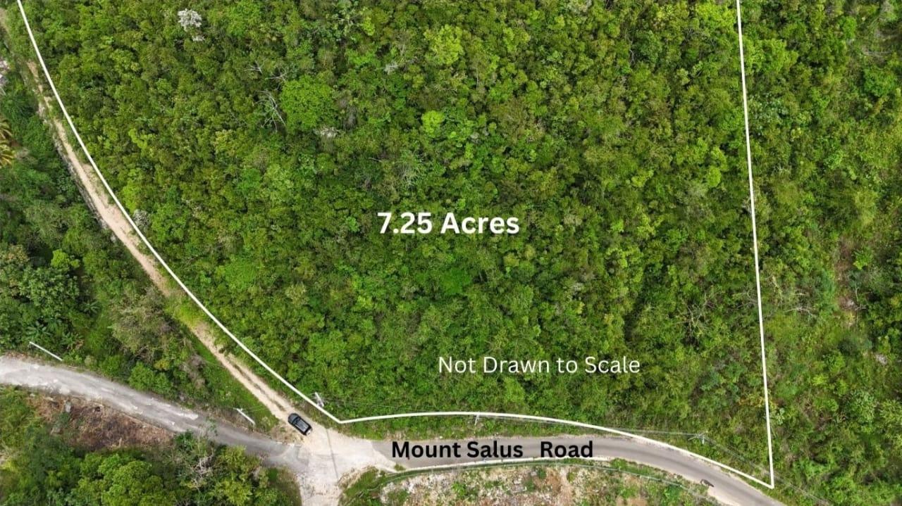 7.25-Acre-Residential-Development-Land-for-Sale-in-Maverley-Mountain-St.-Andrew-Jamaica Third image of Maverley Mountain, Red h in Red Hills, St. Andrew, Jamaica - property is For Sale