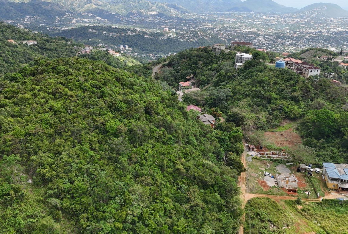 Fourth image of Maverley Mountain, Red h in Red Hills, St. Andrew, Jamaica - property is For Sale