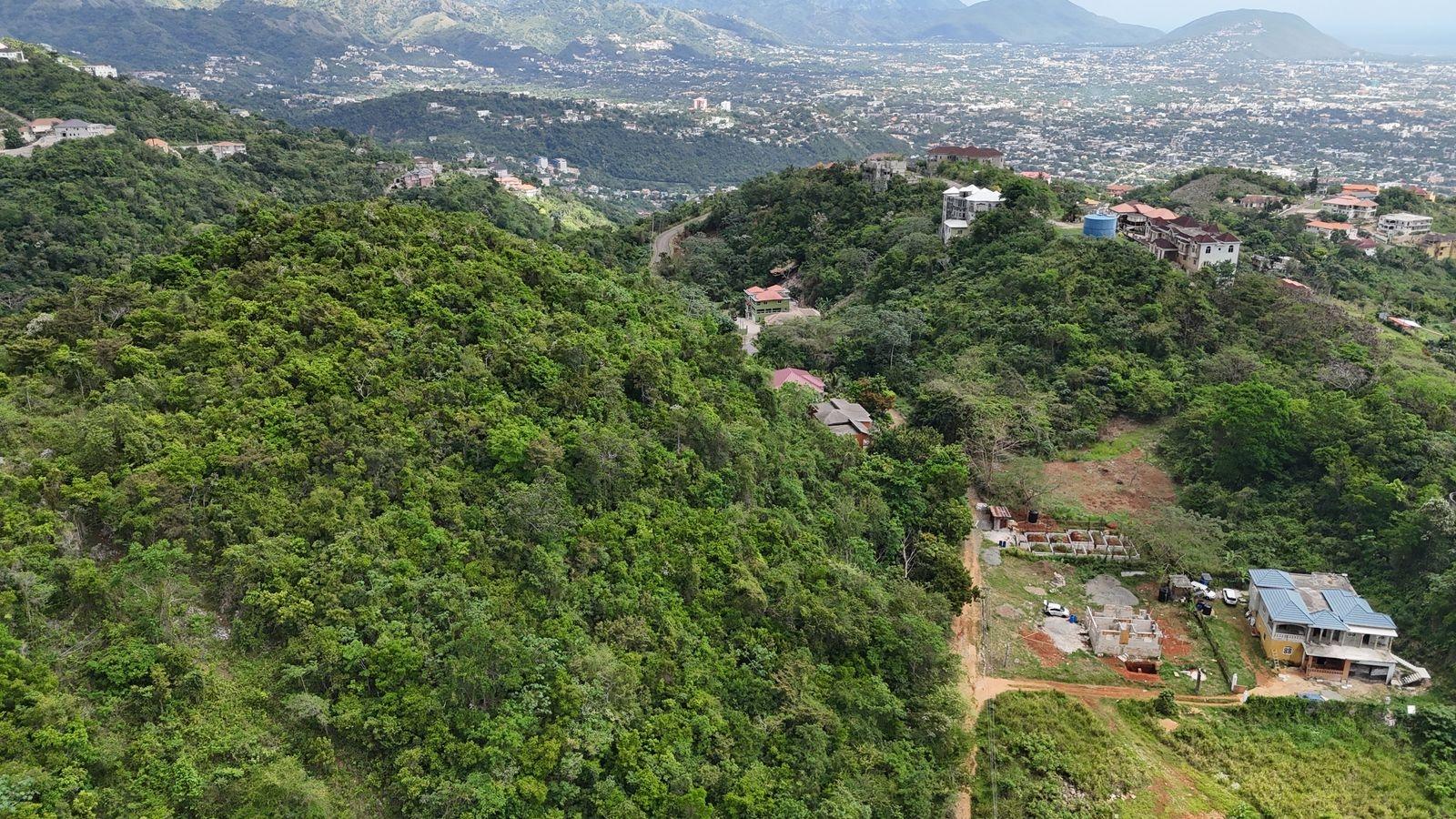 7.25-Acre-Residential-Development-Land-for-Sale-in-Maverley-Mountain-St.-Andrew-Jamaica Fourth image of Maverley Mountain, Red h in Red Hills, St. Andrew, Jamaica - property is For Sale