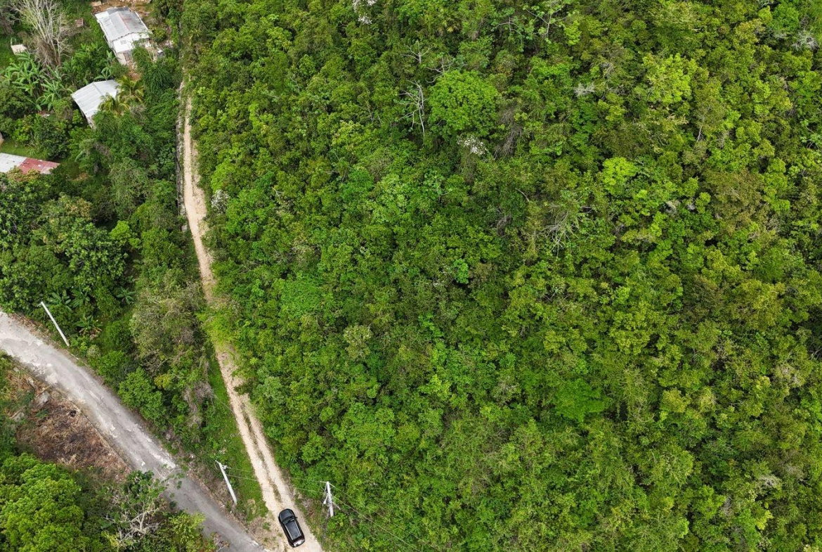 Fifth image of Maverley Mountain, Red h in Red Hills, St. Andrew, Jamaica - property is For Sale