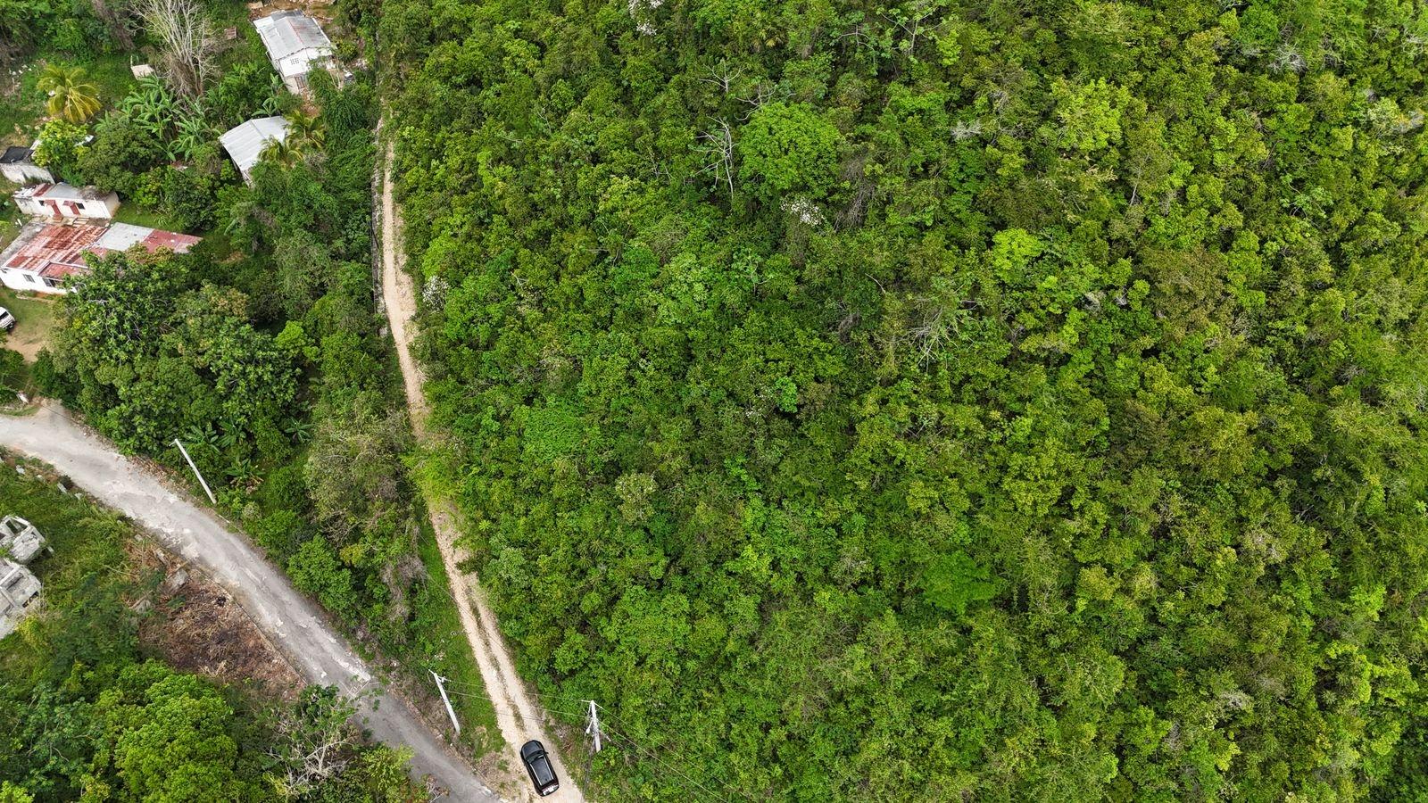 7.25-Acre-Residential-Development-Land-for-Sale-in-Maverley-Mountain-St.-Andrew-Jamaica Fifth image of Maverley Mountain, Red h in Red Hills, St. Andrew, Jamaica - property is For Sale