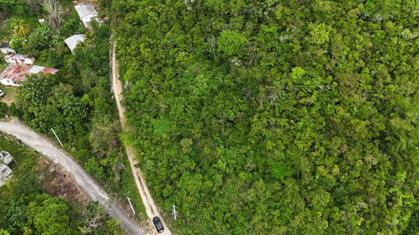 Fifth image of Maverley Mountain, Red h in Red Hills, St. Andrew, Jamaica - property is For Sale