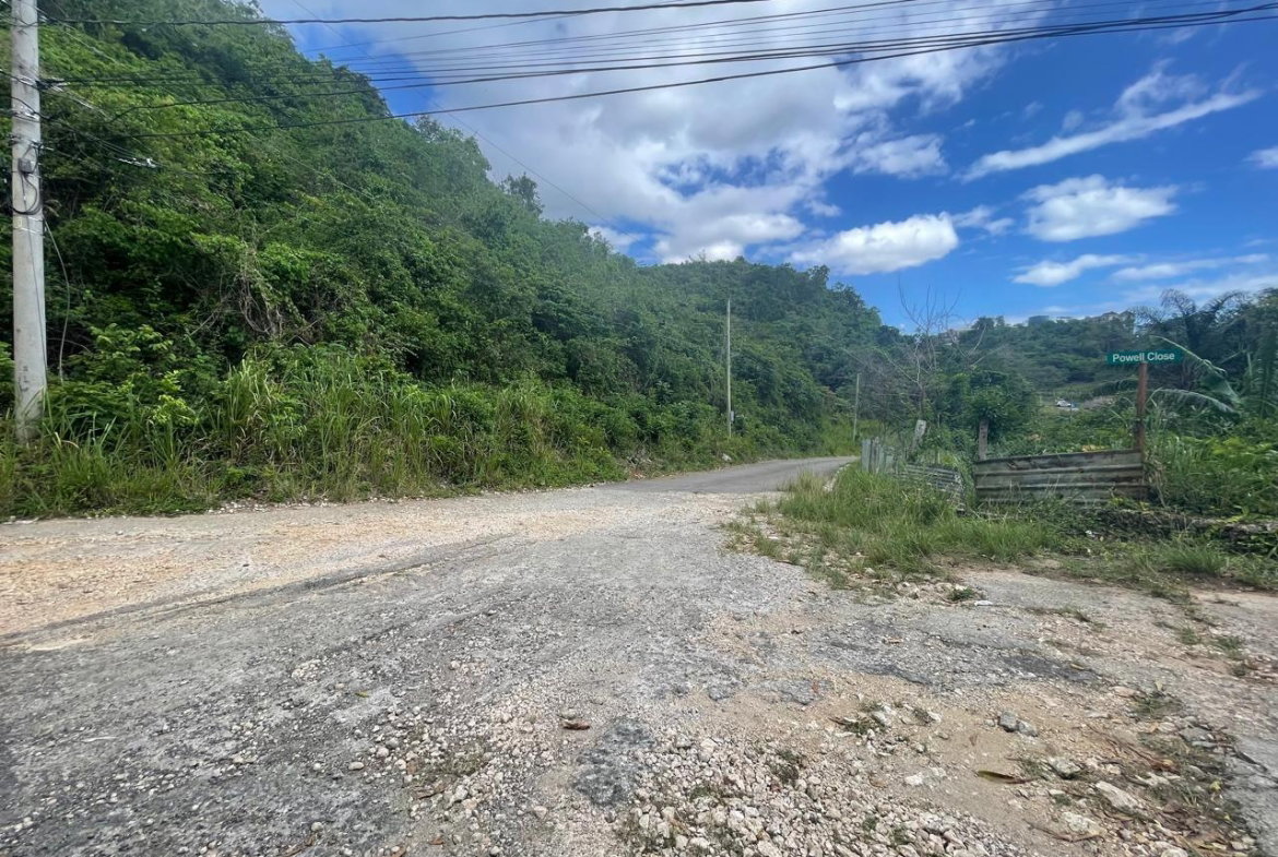 Sixth image of Maverley Mountain, Red h in Red Hills, St. Andrew, Jamaica - property is For Sale