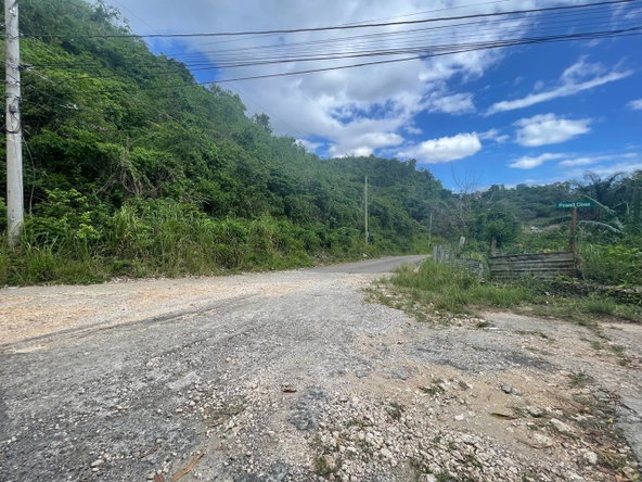Sixth image of Maverley Mountain, Red h in Red Hills, St. Andrew, Jamaica - property is For Sale