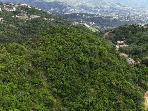 First image of Maverley Mountain, Red h in Red Hills, St. Andrew, Jamaica - property is For Sale