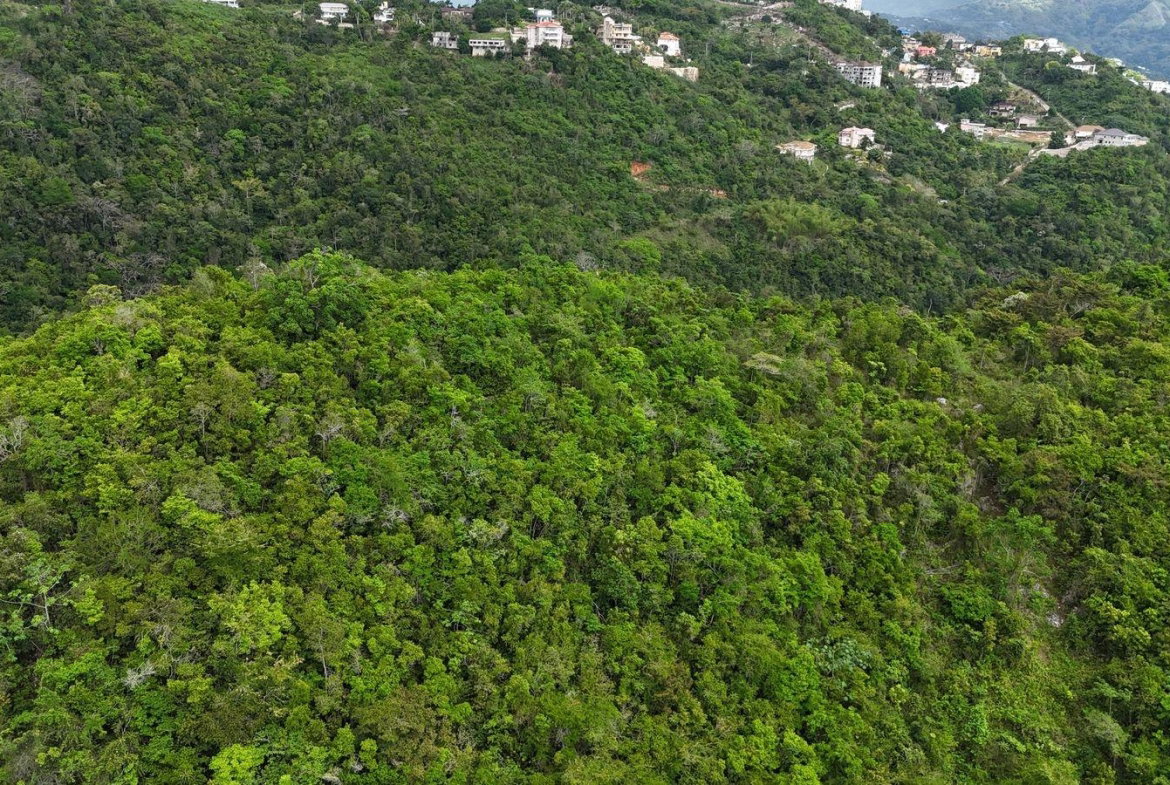 Eighth image of Maverley Mountain, Red h in Red Hills, St. Andrew, Jamaica - property is For Sale