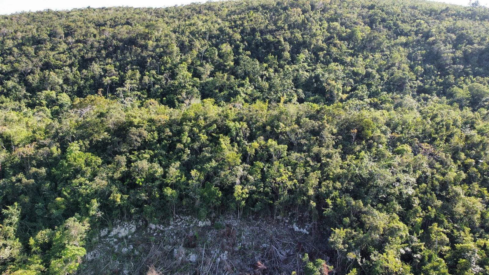 7.3-Acres-Residential-Development-Land-for-Sale-in-Halls-Delight-St.-Andrew-Jamaica Second image of Halls Delights in Dallas P.O., St. Andrew, Jamaica - property is For Sale