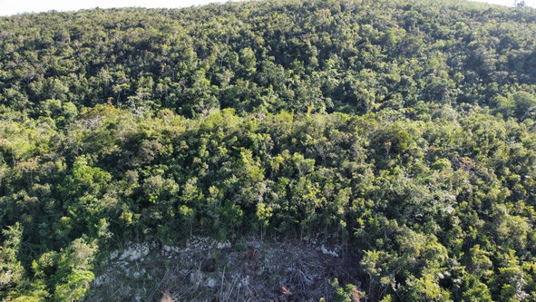 Second image of Halls Delights in Dallas P.O., St. Andrew, Jamaica - property is For Sale