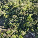 First image of Halls Delights in Dallas P.O., St. Andrew, Jamaica - property is For Sale