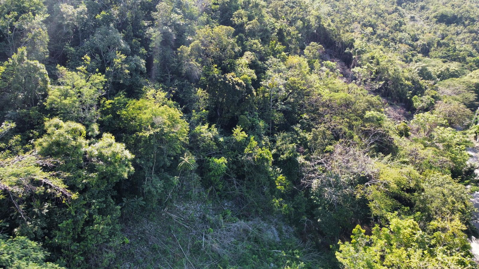 7.3-Acres-Residential-Development-Land-for-Sale-in-Halls-Delight-St.-Andrew-Jamaica Third image of Halls Delights in Dallas P.O., St. Andrew, Jamaica - property is For Sale