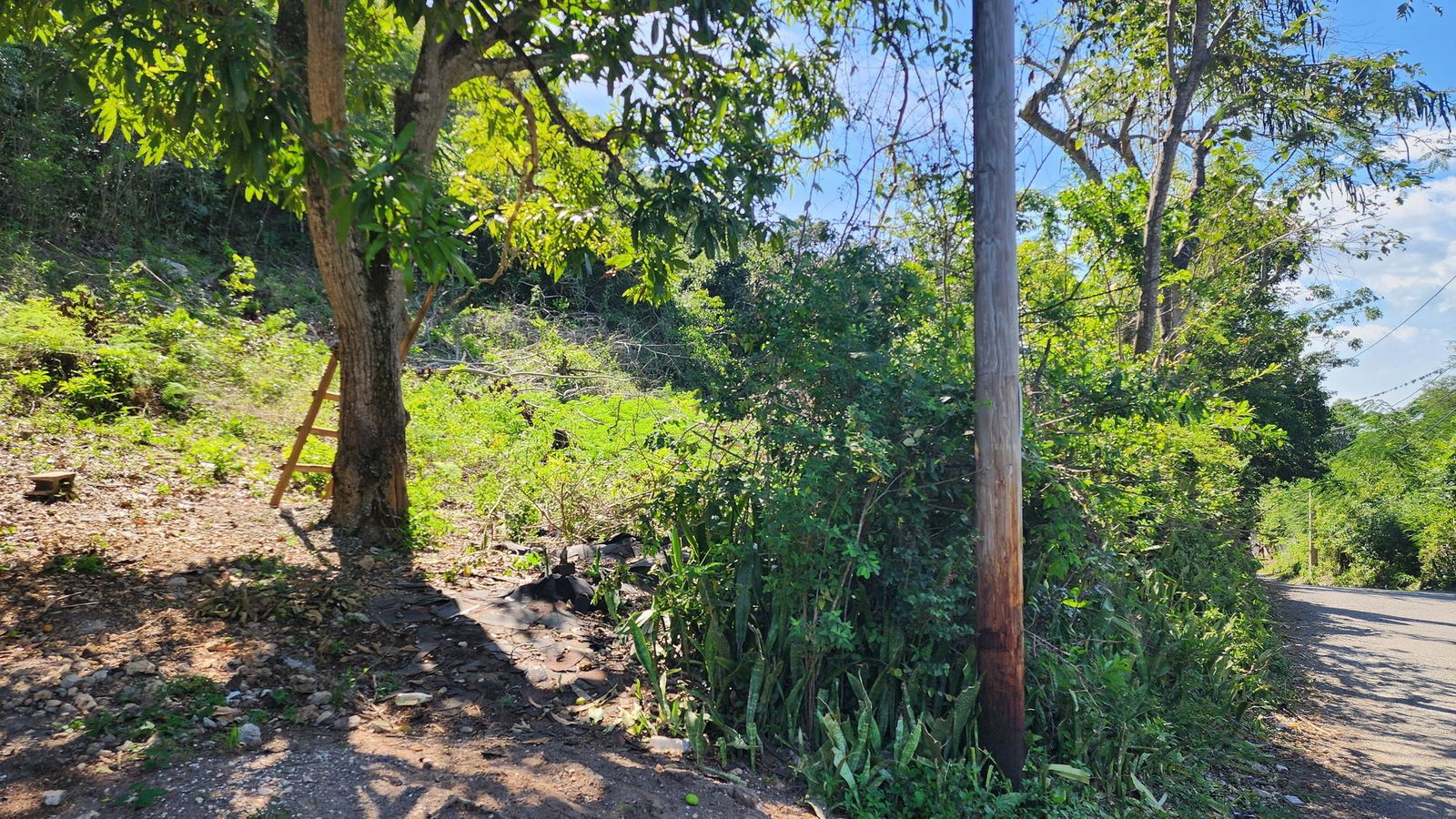 7.3-Acres-Residential-Development-Land-for-Sale-in-Halls-Delight-St.-Andrew-Jamaica Fourth image of Halls Delights in Dallas P.O., St. Andrew, Jamaica - property is For Sale