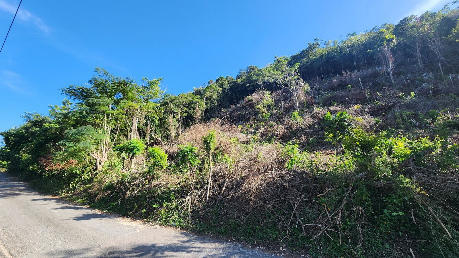 7.3-Acres-Residential-Development-Land-for-Sale-in-Halls-Delight-St.-Andrew-Jamaica Fifth image of Halls Delights in Dallas P.O., St. Andrew, Jamaica - property is For Sale