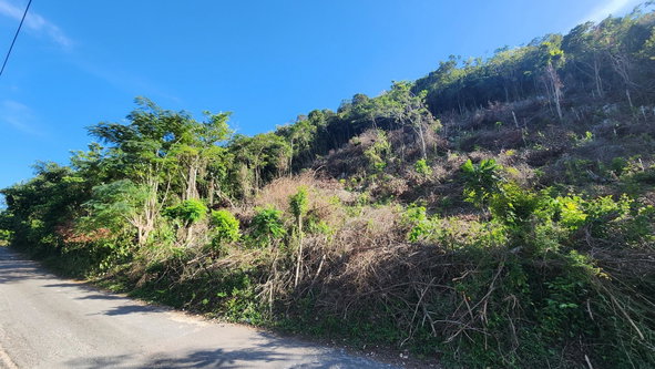 Fifth image of Halls Delights in Dallas P.O., St. Andrew, Jamaica - property is For Sale