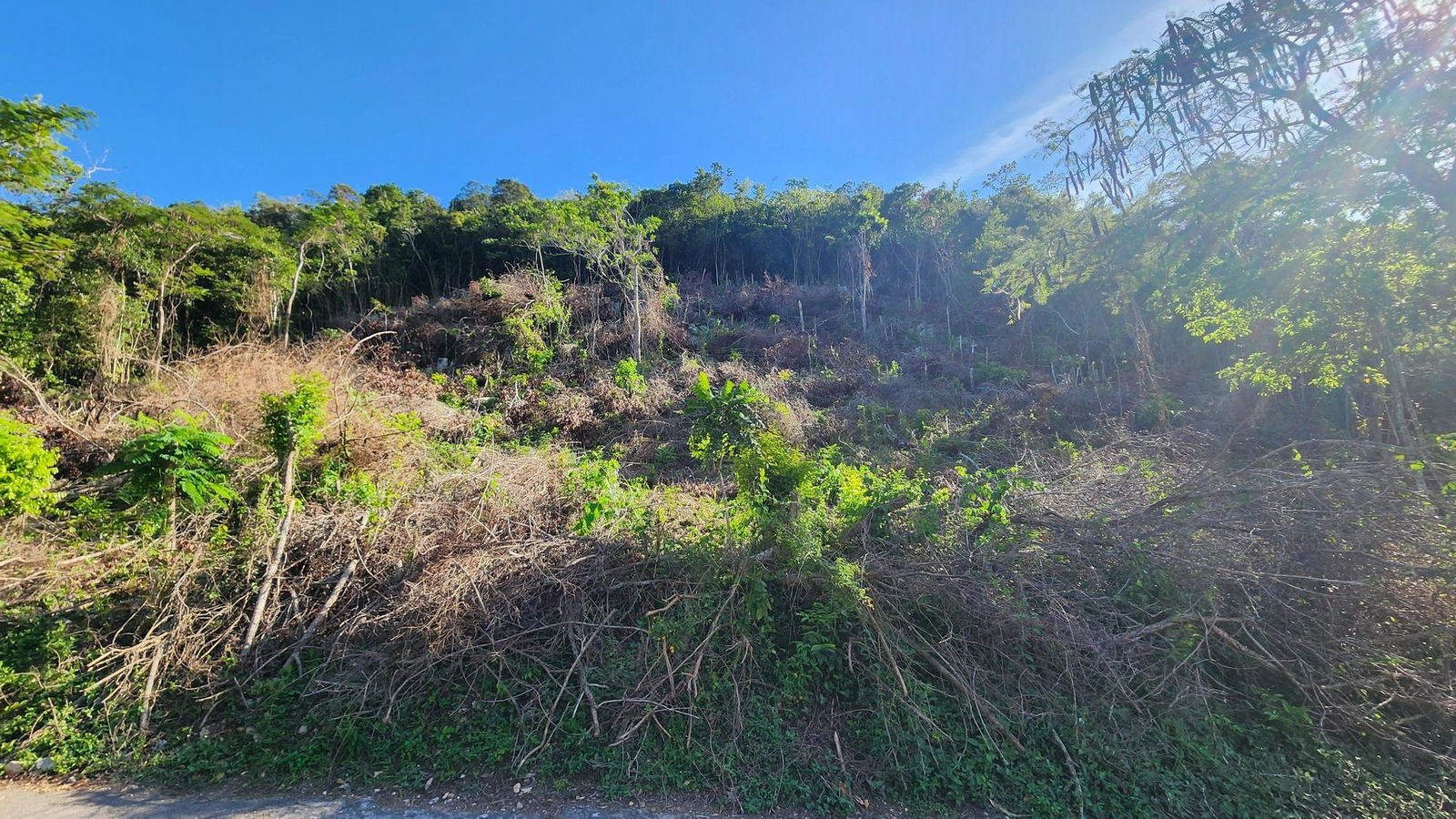7.3-Acres-Residential-Development-Land-for-Sale-in-Halls-Delight-St.-Andrew-Jamaica Sixth image of Halls Delights in Dallas P.O., St. Andrew, Jamaica - property is For Sale