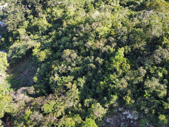 First image of Halls Delights in Dallas P.O., St. Andrew, Jamaica - property is For Sale