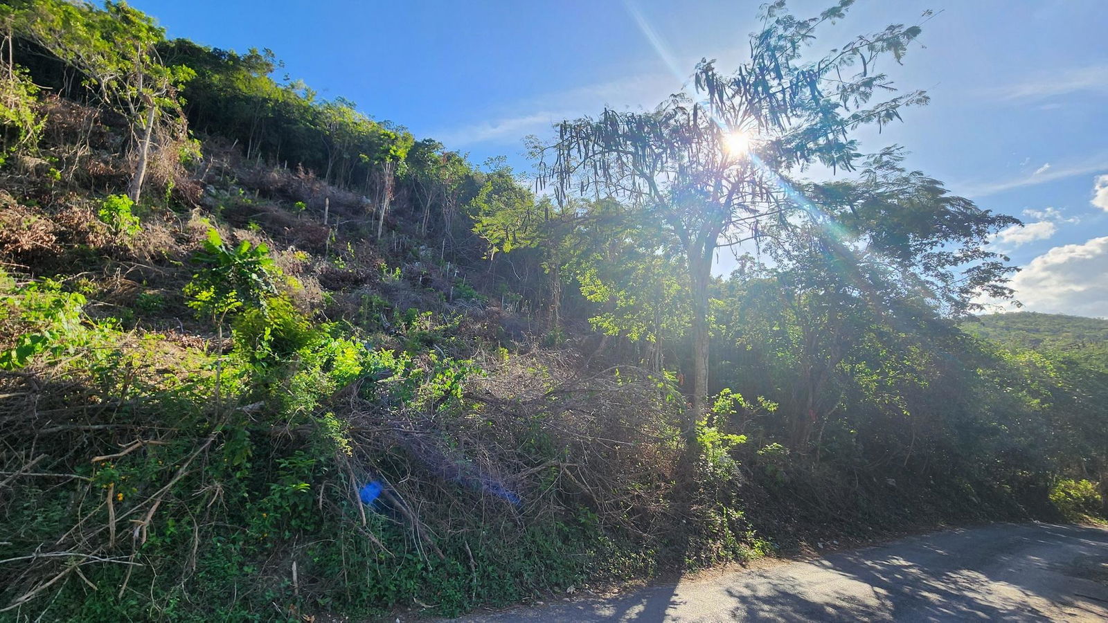 7.3-Acres-Residential-Development-Land-for-Sale-in-Halls-Delight-St.-Andrew-Jamaica Seventh image of Halls Delights in Dallas P.O., St. Andrew, Jamaica - property is For Sale