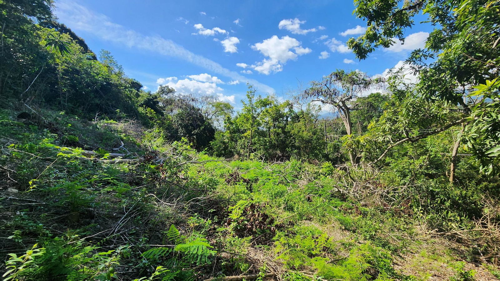 7.3-Acres-Residential-Development-Land-for-Sale-in-Halls-Delight-St.-Andrew-Jamaica Eighth image of Halls Delights in Dallas P.O., St. Andrew, Jamaica - property is For Sale