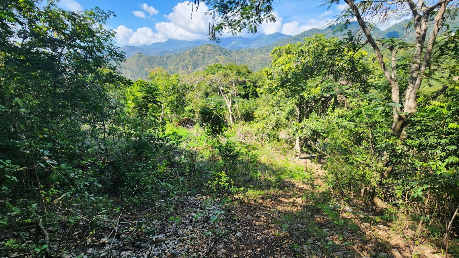 7.3-Acres-Residential-Development-Land-for-Sale-in-Halls-Delight-St.-Andrew-Jamaica Ninth image of Halls Delights in Dallas P.O., St. Andrew, Jamaica - property is For Sale