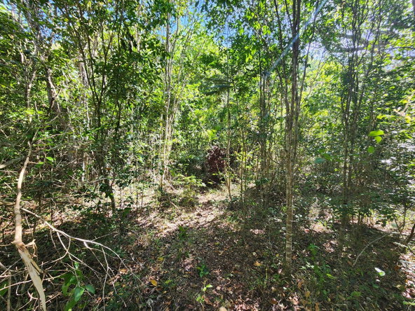 Tenth image of Halls Delights in Dallas P.O., St. Andrew, Jamaica - property is For Sale