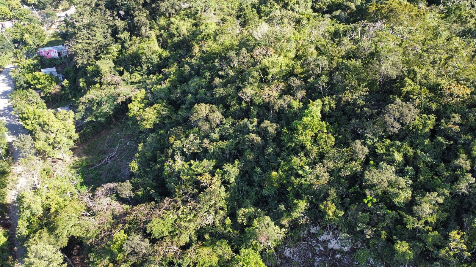 7.3-Acres-Residential-Development-Land-for-Sale-in-Halls-Delight-St.-Andrew-Jamaica First image of Halls Delights in Dallas P.O., St. Andrew, Jamaica - property is For Sale