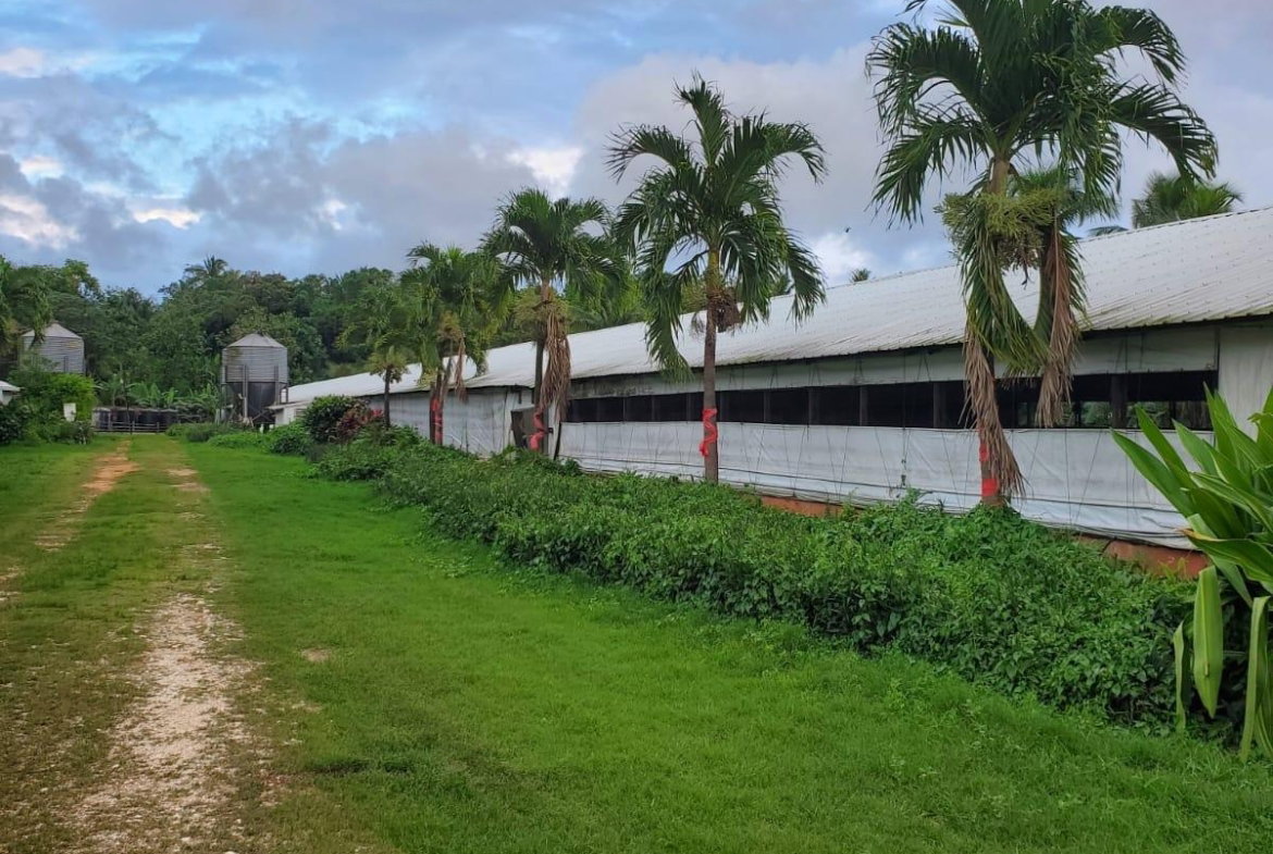 Second image of 348a Treadways, York Street in Linstead, St. Catherine, Jamaica - property is For Sale