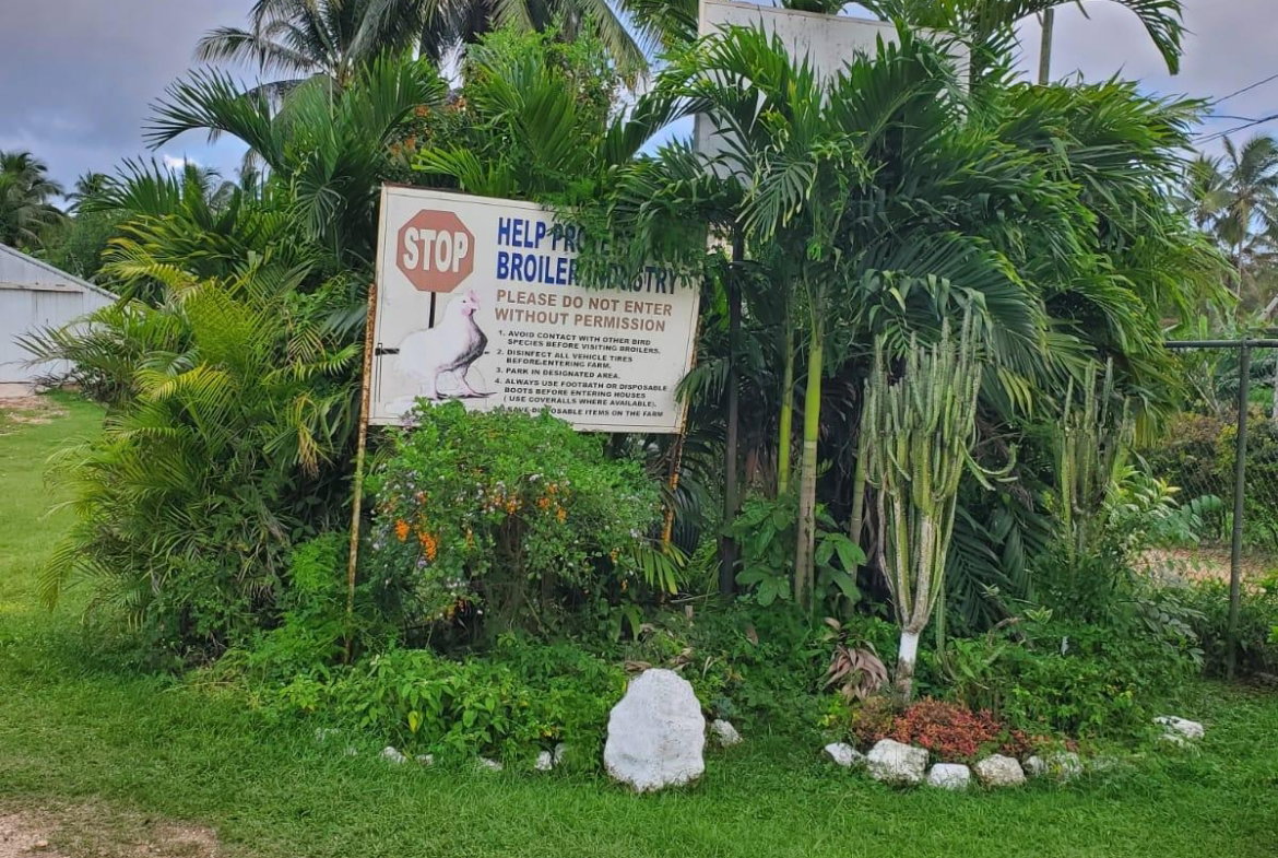 First image of 348a Treadways, York Street in Linstead, St. Catherine, Jamaica - property is For Sale