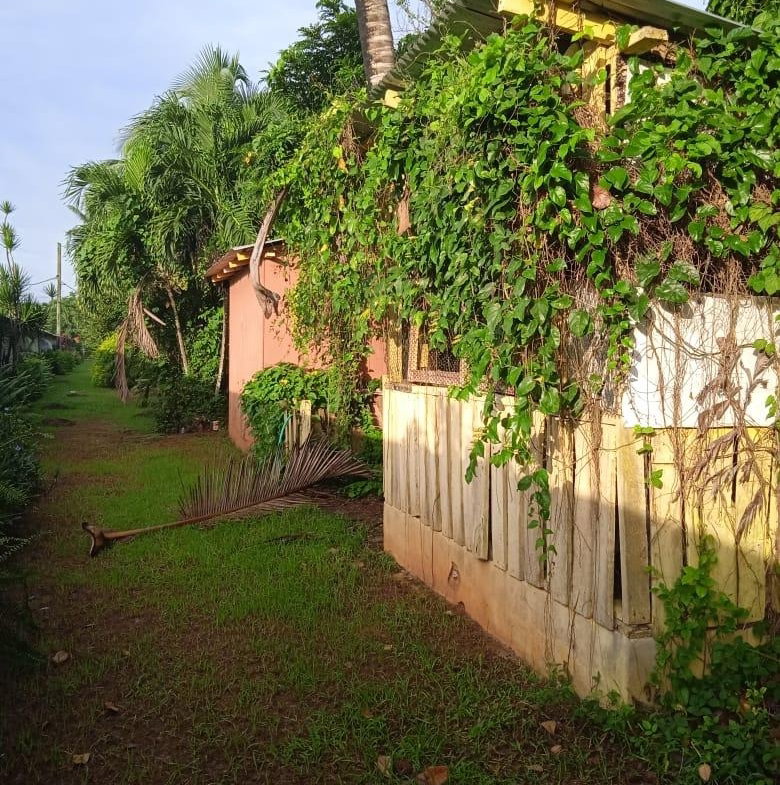 Fifteenth image of 348a Treadways, York Street in Linstead, St. Catherine, Jamaica - property is For Sale