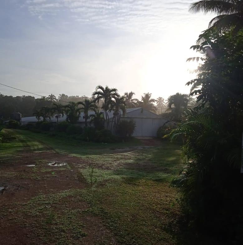 Sixteenth image of 348a Treadways, York Street in Linstead, St. Catherine, Jamaica - property is For Sale