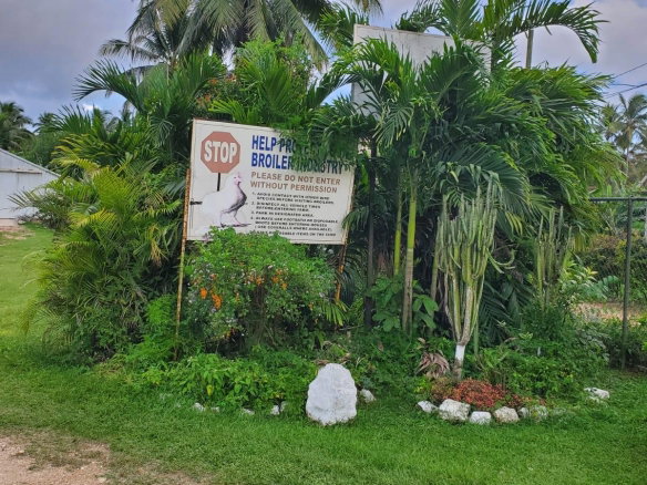 First image of 348a Treadways, York Street in Linstead, St. Catherine, Jamaica - property is For Sale