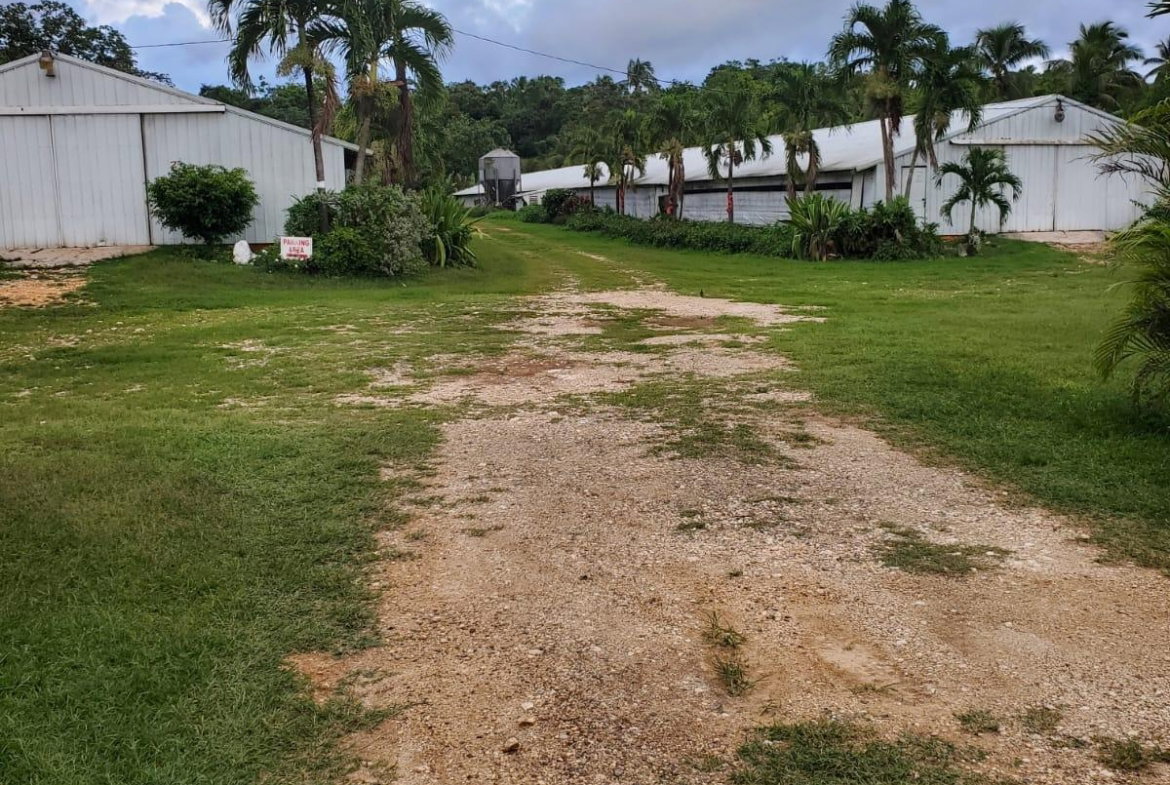 Seventh image of 348a Treadways, York Street in Linstead, St. Catherine, Jamaica - property is For Sale