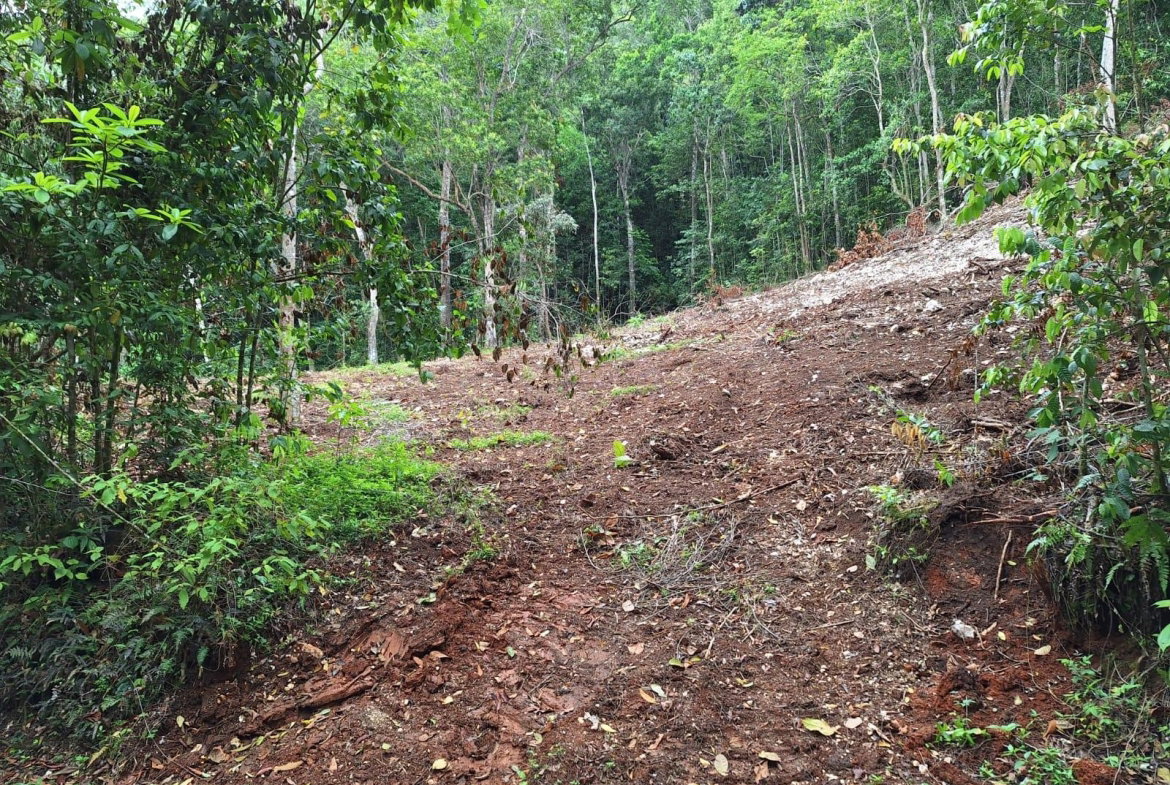 Second image of 36- Sligoville Main Road in Sligoville, St. Catherine, Jamaica - property is For Sale
