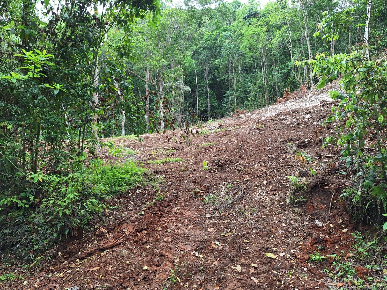 8.5-Acre-Residential-Lot-for-Sale-in-Sligoville-St.-Catherine-Jamaica Second image of 36- Sligoville Main Road in Sligoville, St. Catherine, Jamaica - property is For Sale