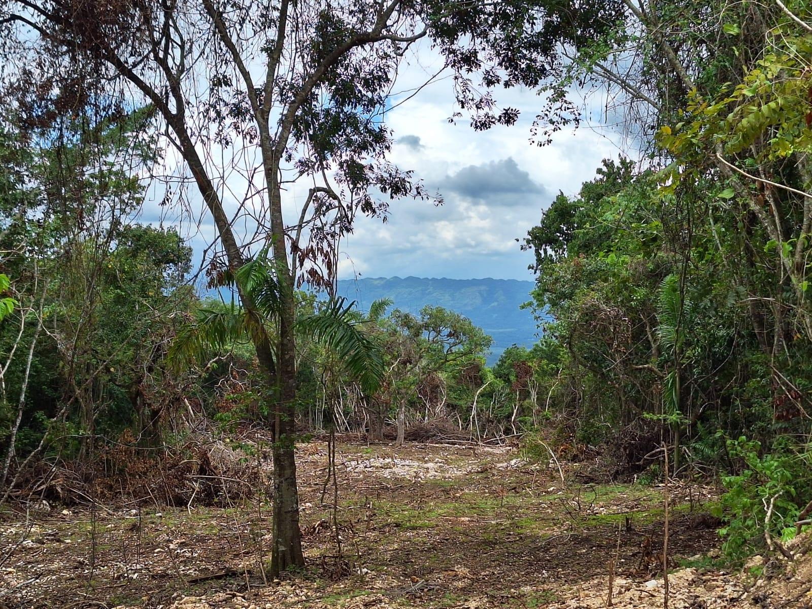 Fourth image of 17- Sligoville Main Road in Sligoville, St. Catherine, Jamaica - property is For Sale