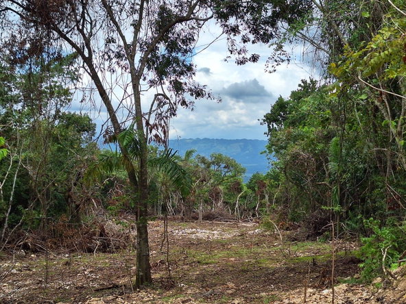 Fourth image of 17- Sligoville Main Road in Sligoville, St. Catherine, Jamaica - property is For Sale