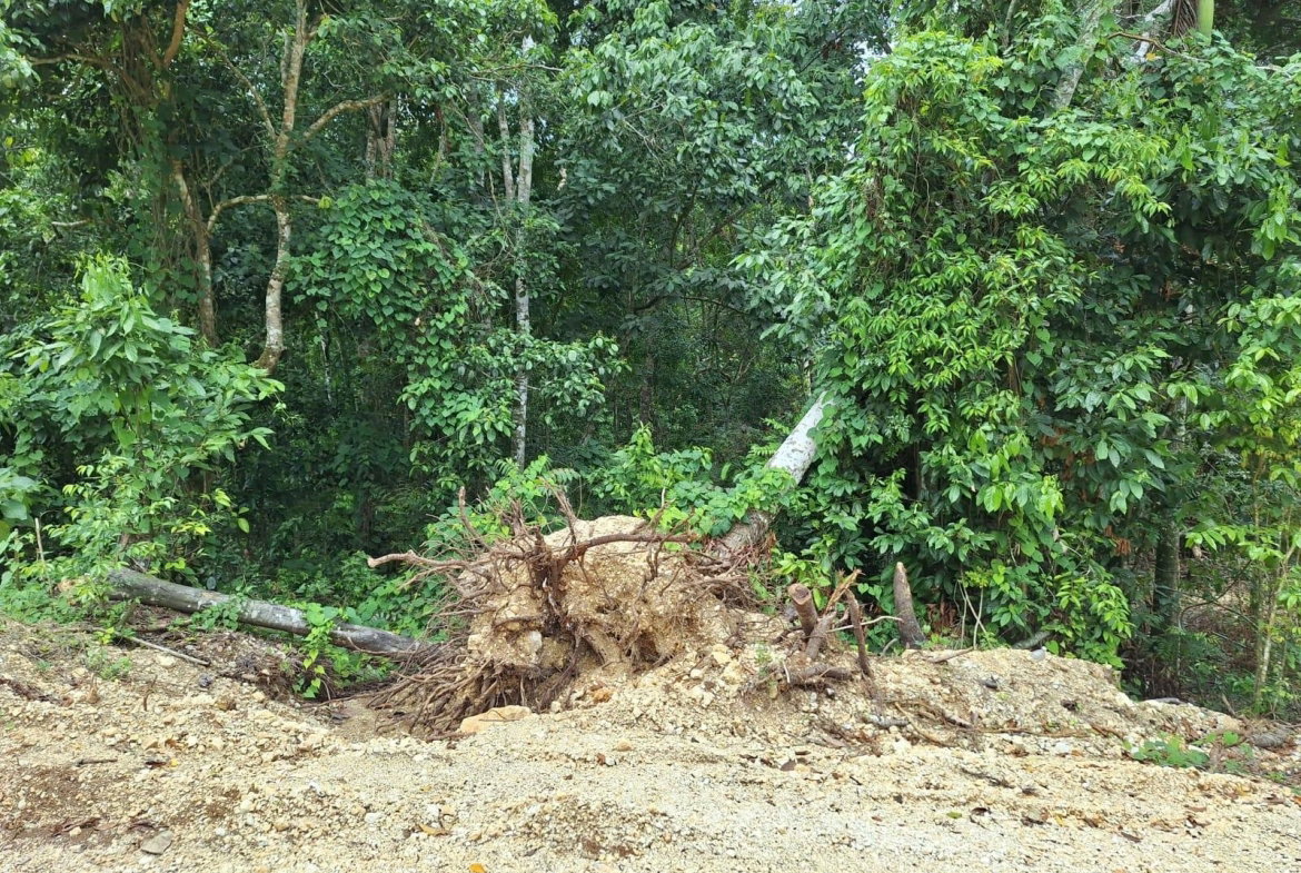 Fifth image of 17- Sligoville Main Road in Sligoville, St. Catherine, Jamaica - property is For Sale