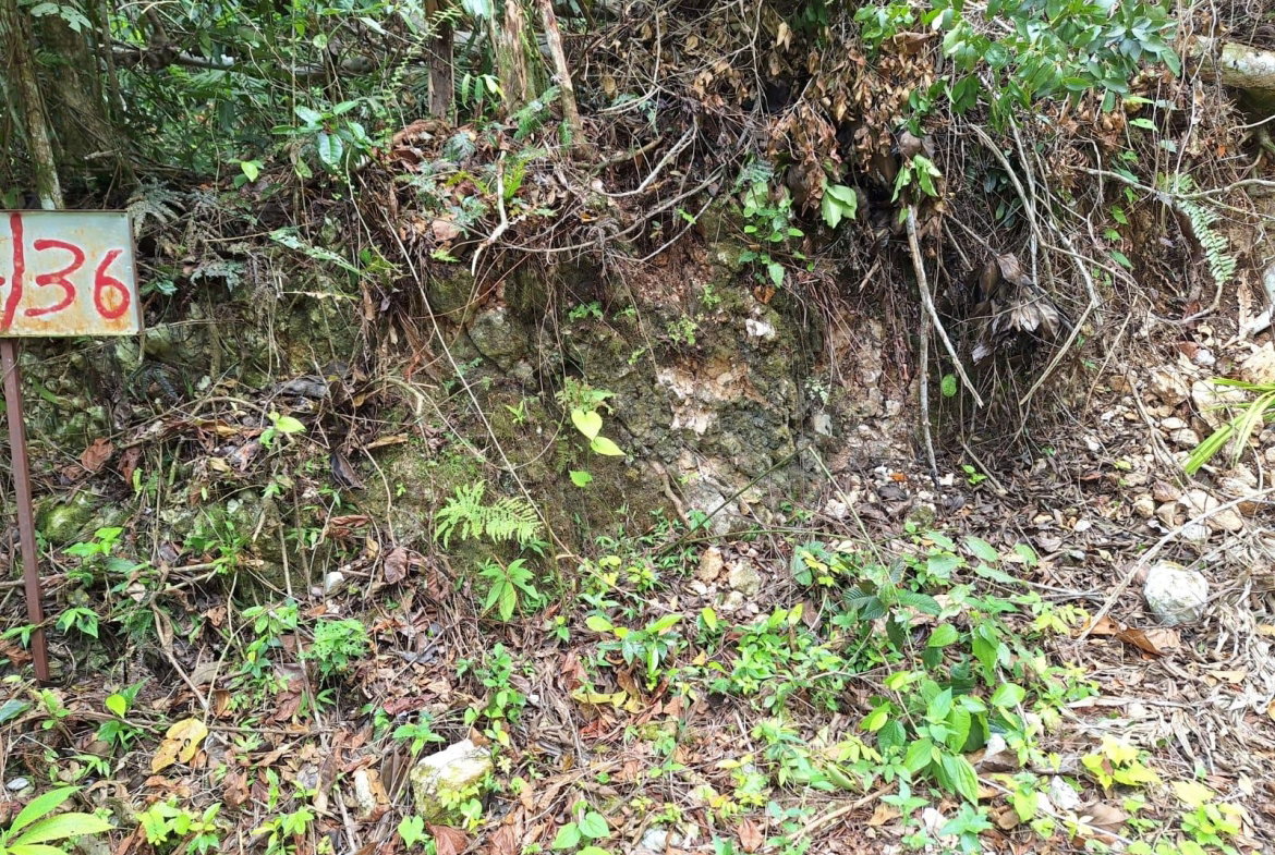 First image of 36- Sligoville Main Road in Sligoville, St. Catherine, Jamaica - property is For Sale